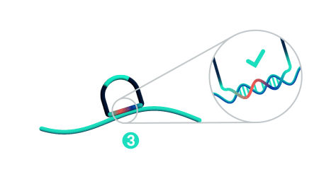 In Situ Chemistry & Transcriptomics Technology | 10x Genomics